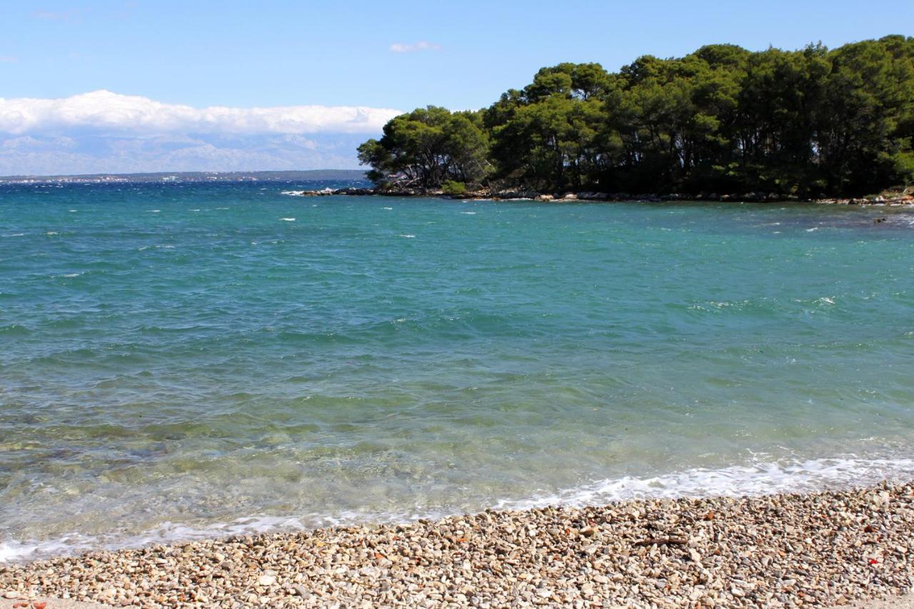 Apartments With A Parking Space Ugljan - 15613 Εξωτερικό φωτογραφία